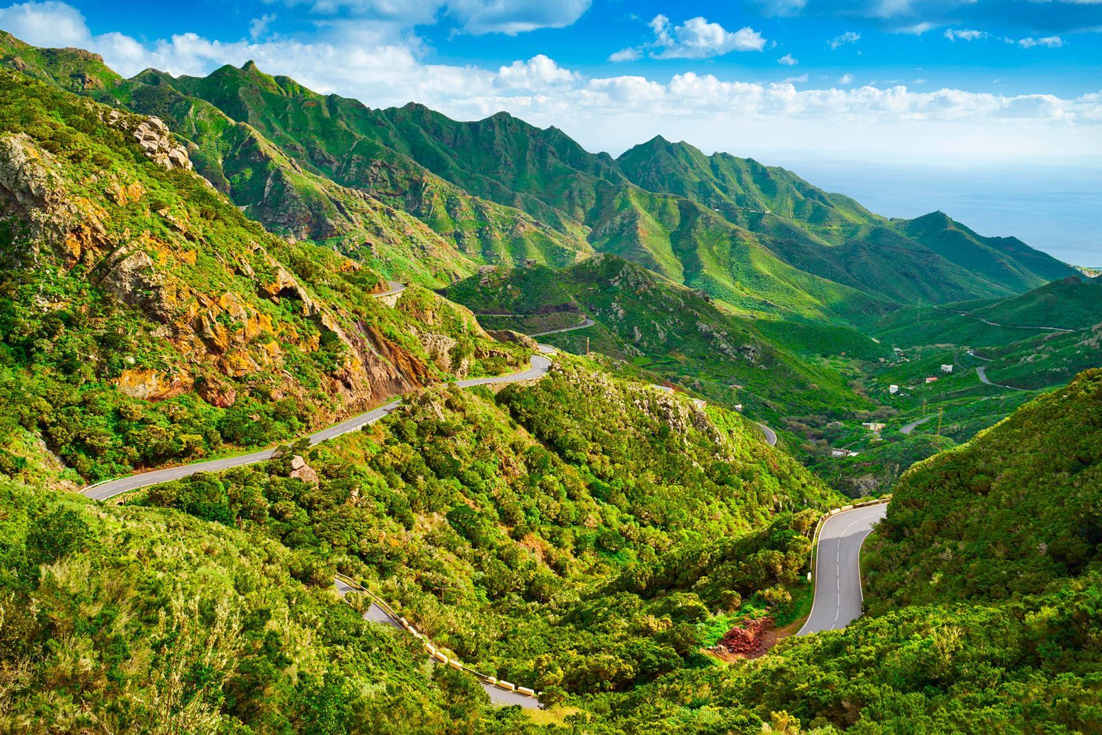Winding mountain road through the laurel forest of Anaga Rural Park, Tenerife