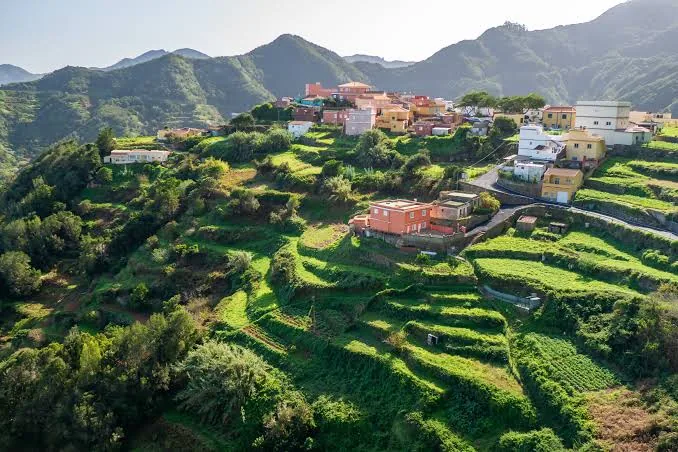 Terraced fields and a small village on a green hillside in the Anaga mountains