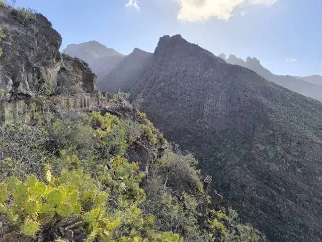 Trail along a cactus-covered slope into the Barranco del Infierno above Adeje