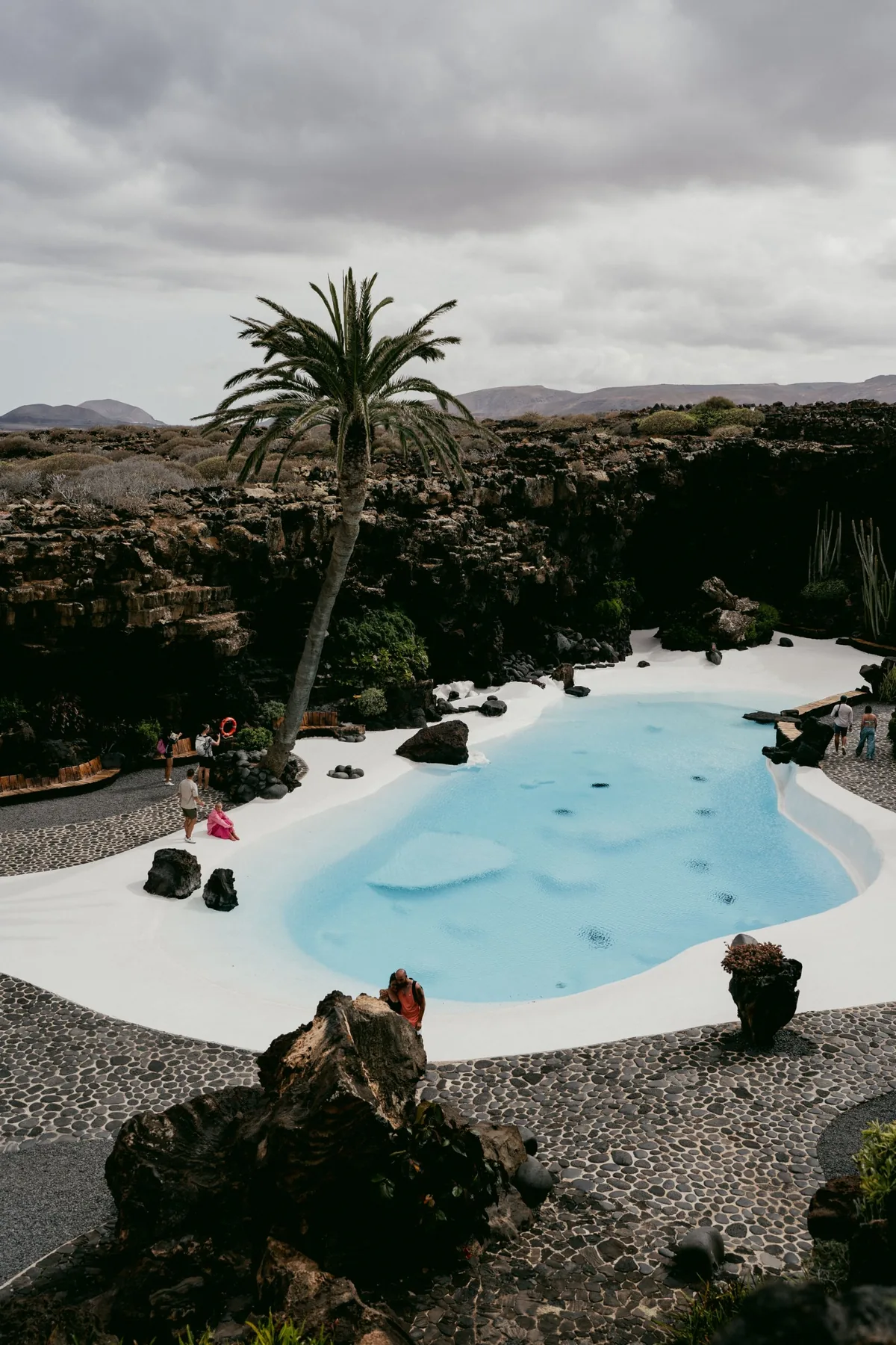 The white pool and palm tree at Jameos del Agua, framed by black lava walls
