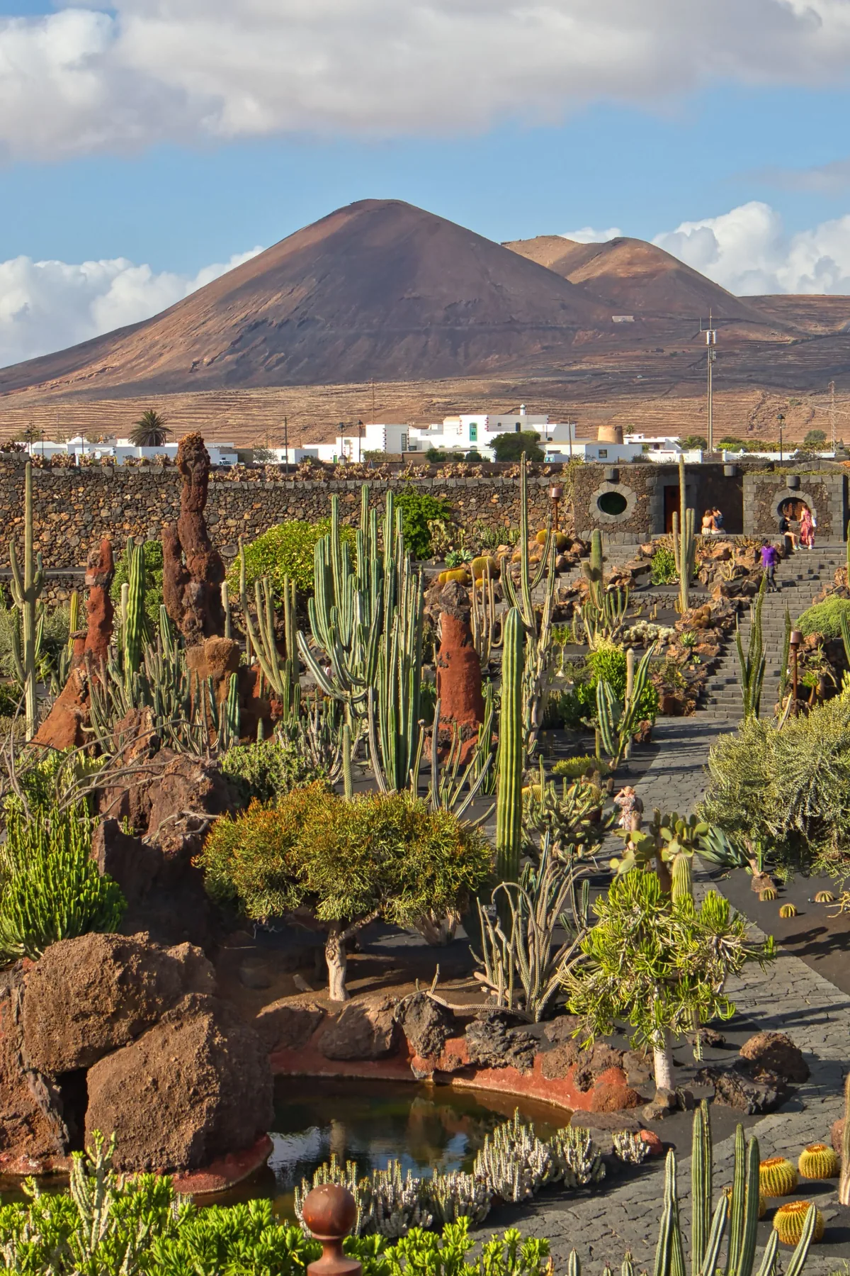 Cacti and volcanic rock sculptures at the Jardín de Cactus in Guatiza, with a volcano behind