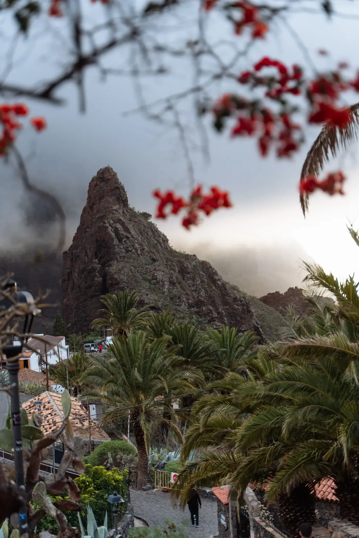 Houses and palms of Masca beneath the jagged peaks of the Teno mountains