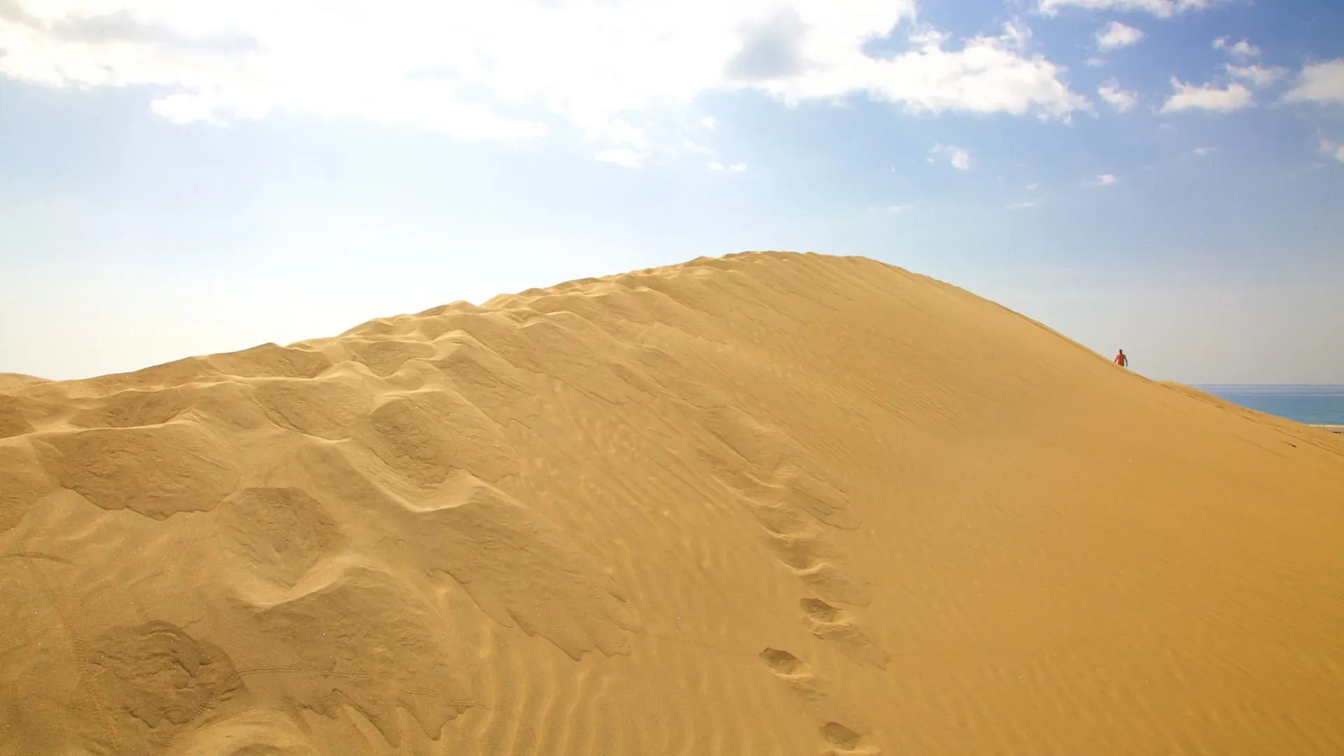 Wind-rippled sand in the Maspalomas Dunes Nature Reserve, Gran Canaria
