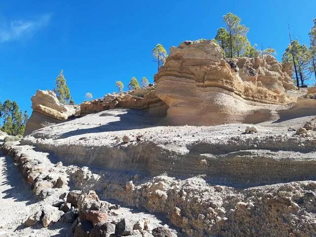 Eroded white tuff formations of the Paisaje Lunar among Canarian pines above Vilaflor