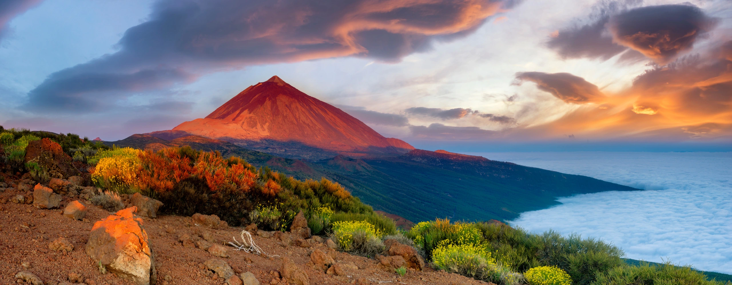 Volcanic landscape of Teide National Park seen on a day trip from Gran Canaria