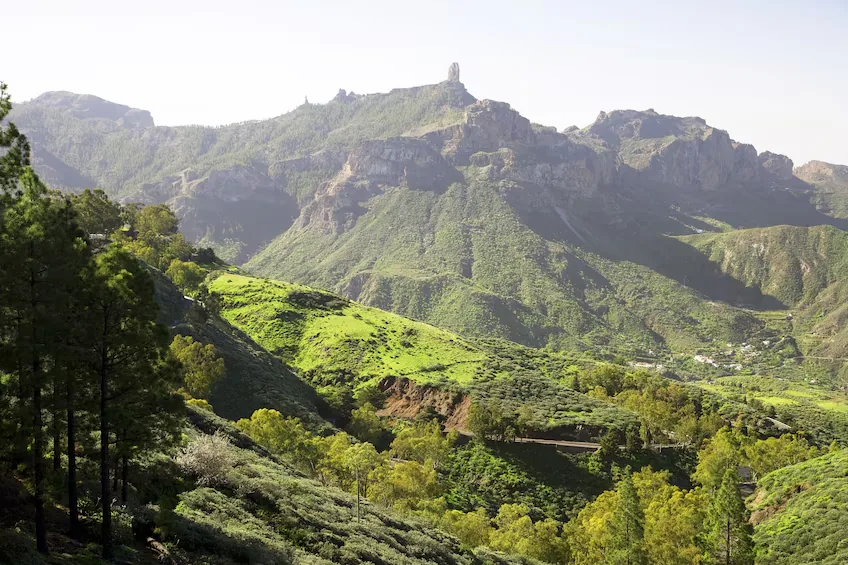 Green valley near Tejeda with Roque Nublo on the skyline, Gran Canaria